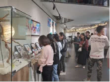 保山学院艺术设计,保山学院美术与设计