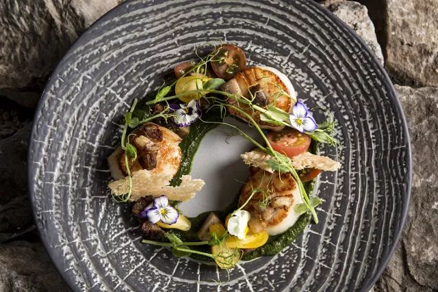 stay旅行者,stay旅行