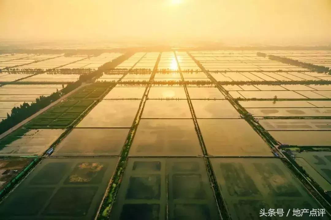 南京大爆发,大爆发攻略