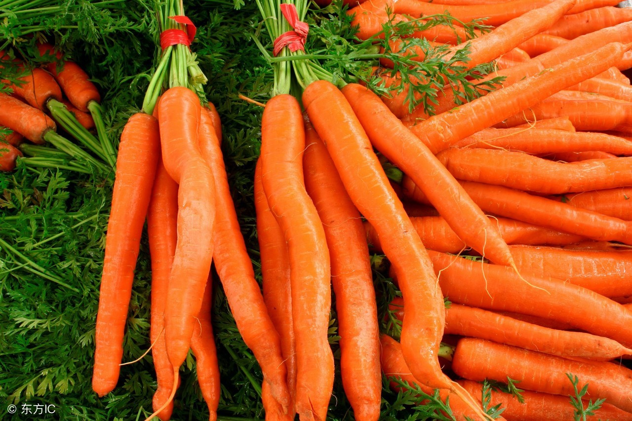 脂溢性脱发吃什么好得快,脂溢性脱发一天如何饮食