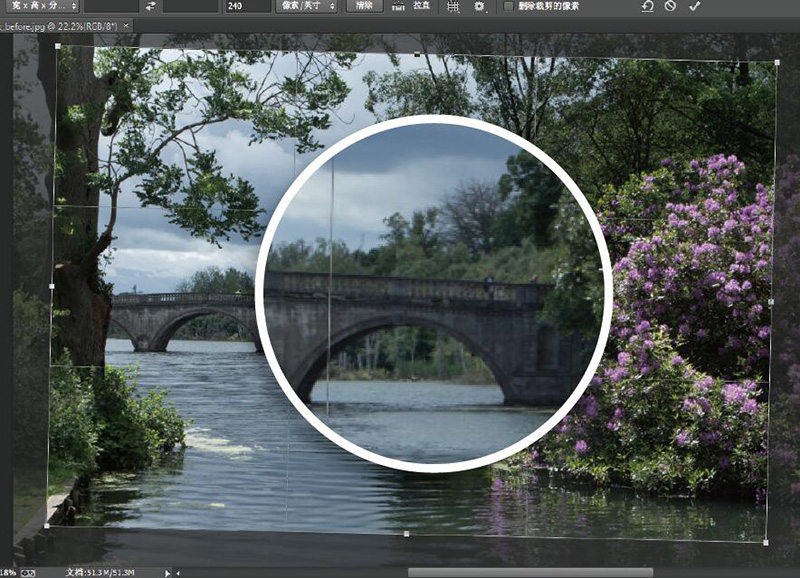 拍照迅速出片,单反相机的相片迅速出片