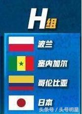 2018世界杯养眼女球迷,世界杯八强女球迷争奇斗艳