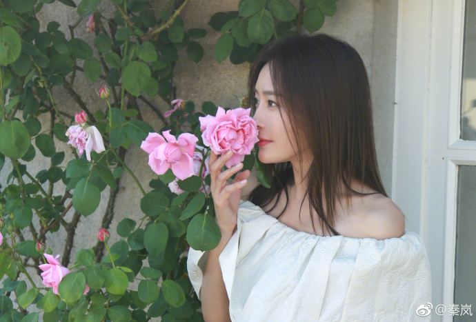 秦岚承认整容过吗,秦岚整容了没