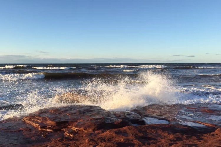 八位佳人在远方——初中闺蜜团加拿大游之美好印记