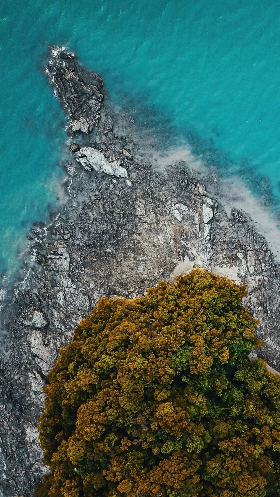 2019免签直飞巴厘岛 (直飞巴厘岛旅游)