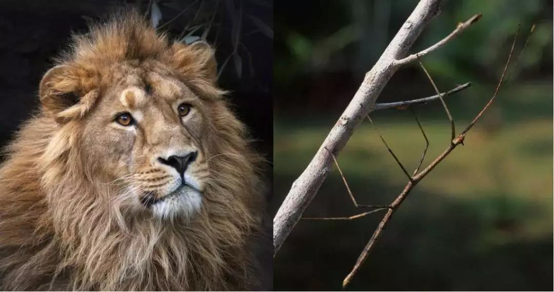 斯坦福教育,斯坦福教育6条黄金学习法则