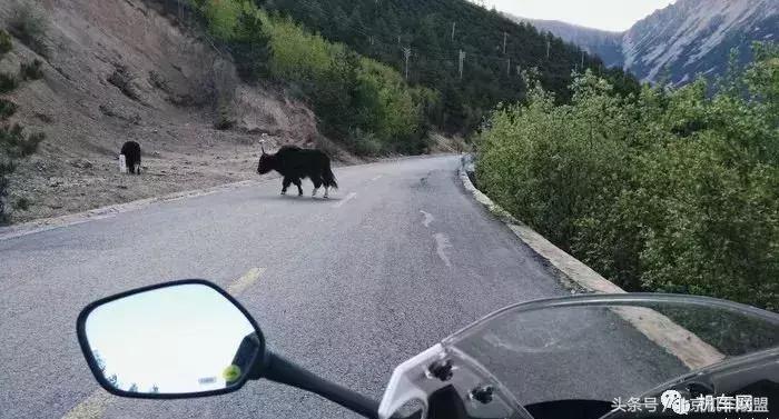 只因一款游戏，他骑着CBR300R进*藏西**了！