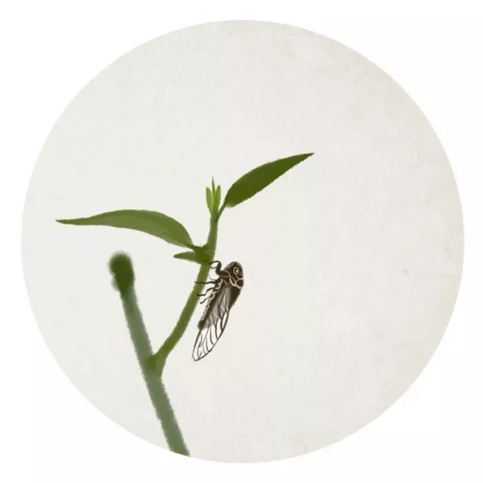 元曲四大家45首元曲巅峰之作,最经典的十首元曲