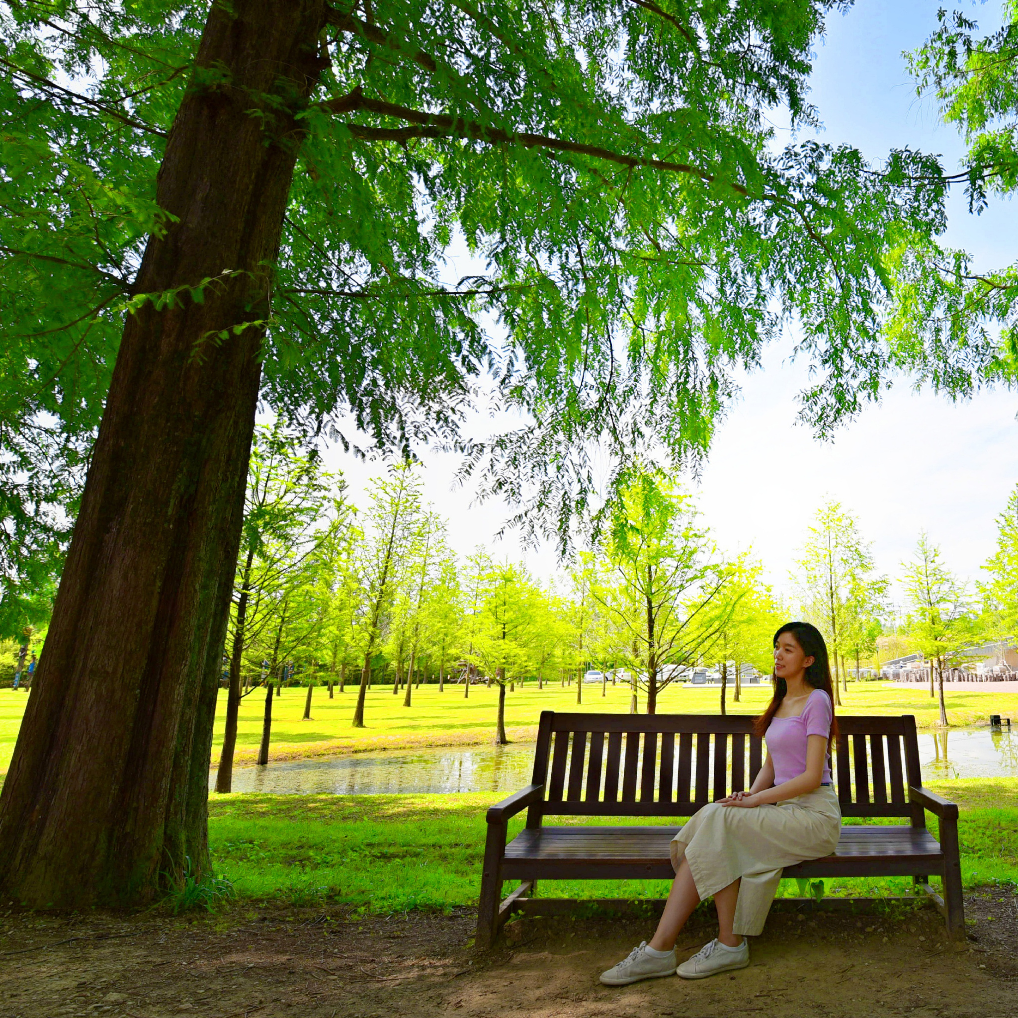 韩国排名第一的韩剧,韩国公认最好看的韩剧