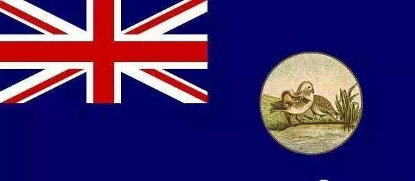 吃着煎饼卷大葱开挖掘机：你对山东有什么误解？