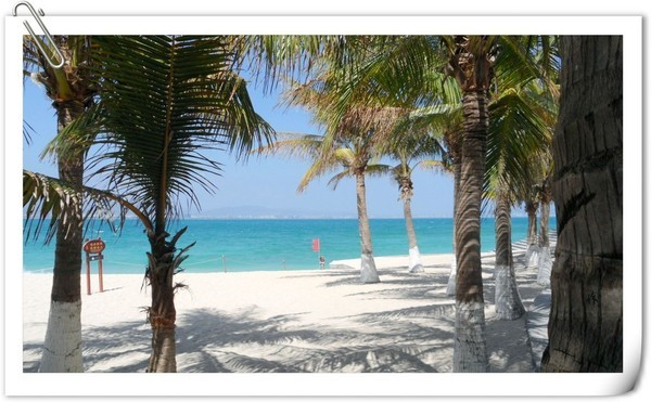 带着梦想去远行视频,带着梦想出发走过春夏秋冬