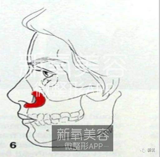 迪丽热巴被p图事件回应,迪丽热巴被p图的视频