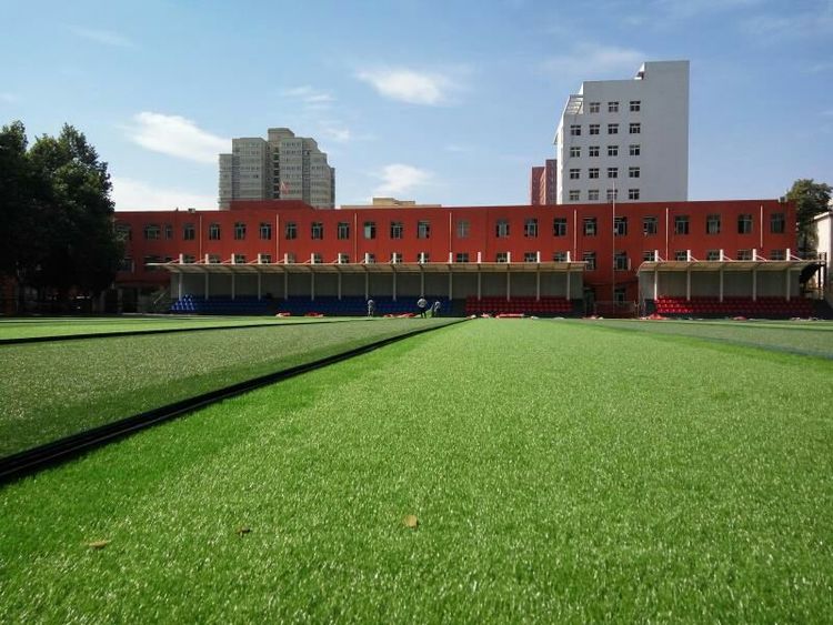 驻马店建设足球场,驻马店一高景象
