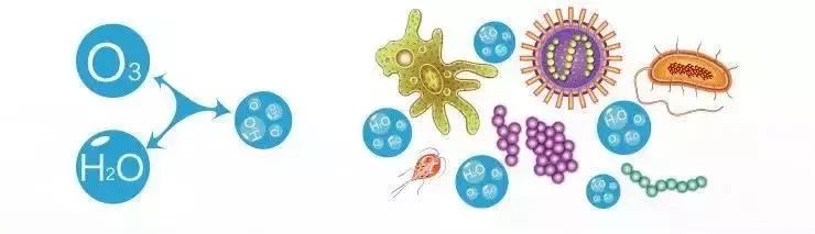 冰箱消毒杀菌最佳方法小妙招,海鲜池消毒杀菌的正确方法