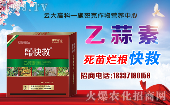 西红柿辣椒黄瓜种植打什么药防虫,辣椒西红柿枯萎病怎么治疗
