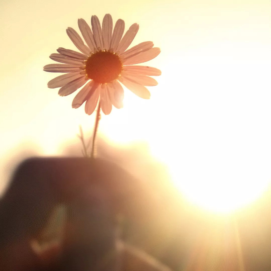 与众不同的手机铃声,与众不同的手机桌面