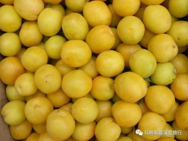 南疆最好吃的瓜果,新疆瓜果什么最好吃又便宜