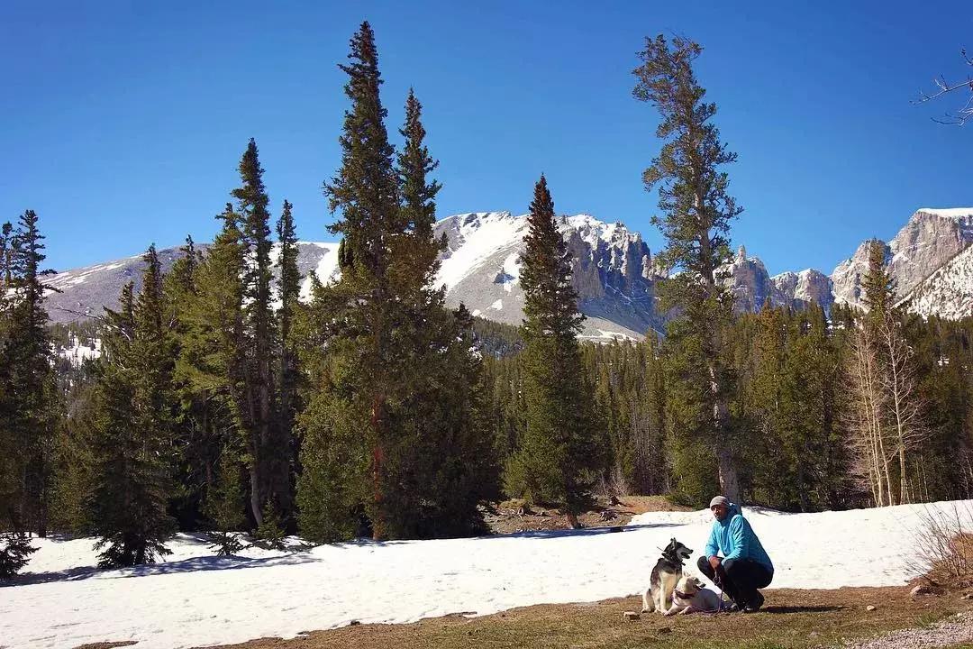 开挂的人生不需要解释图片,开挂的人生不需要解释合集
