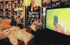 世界杯聊天室怎么开,世界杯聊天开场白