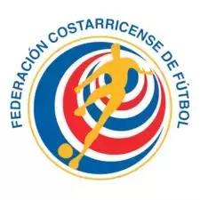 世界杯看球指南全集,球迷必备的世界杯看球指南