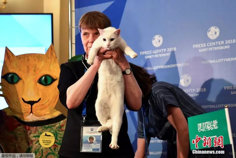 世界杯赛事今日赛程安排,世界杯今晚的赛事