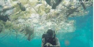 让人震撼的绝美景色,十大绝美景色