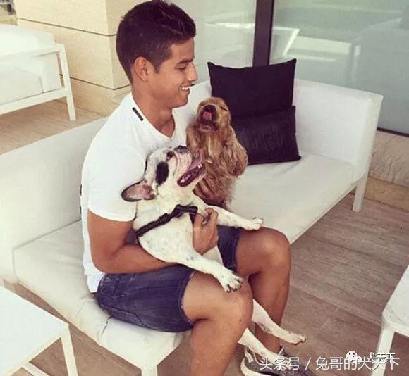 足球吉祥物狗狗盘点,一只狗狗拯救了无数人