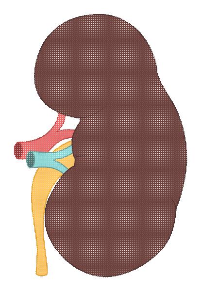 一家三口同时患上高血压,武汉一家三口同时患上高血压