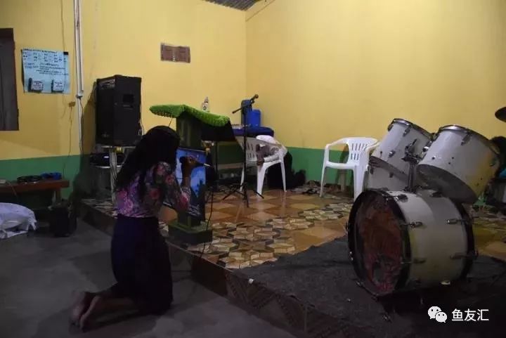 特隆贝塔如何饲养,特隆贝塔半皇与红彩区别