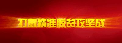 大润发粽子,购物免费送粽子活动火爆进行中