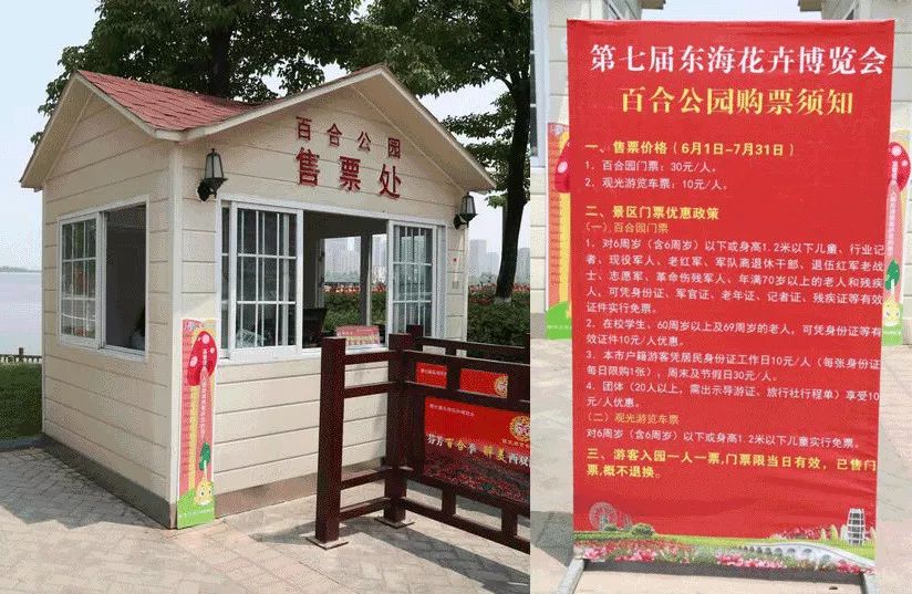 来赏花郁金香花展已开启,春日踏青花博会