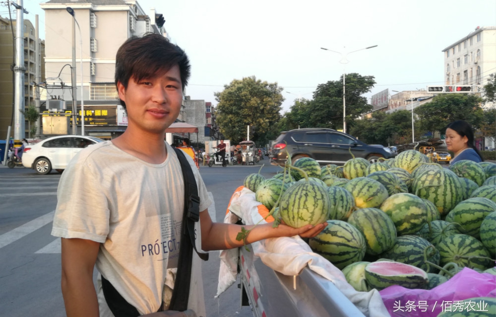 卖西瓜的一年挣三十万,小伙子卖西瓜一年赚100万