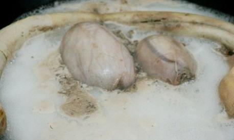 女人吃牛尾巴功效与禁忌,女人吃牛的好处