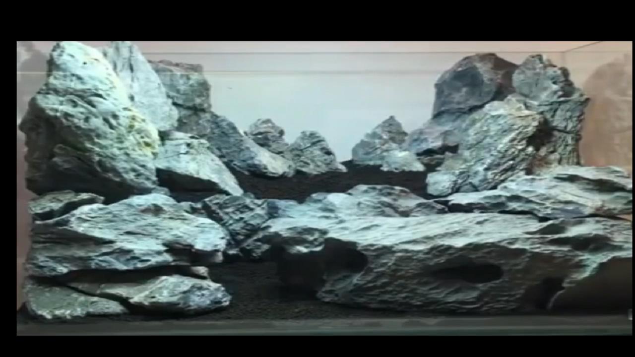 40*40原生莫斯草缸造景作品,鱼缸造景效果图草缸怎么才能通透