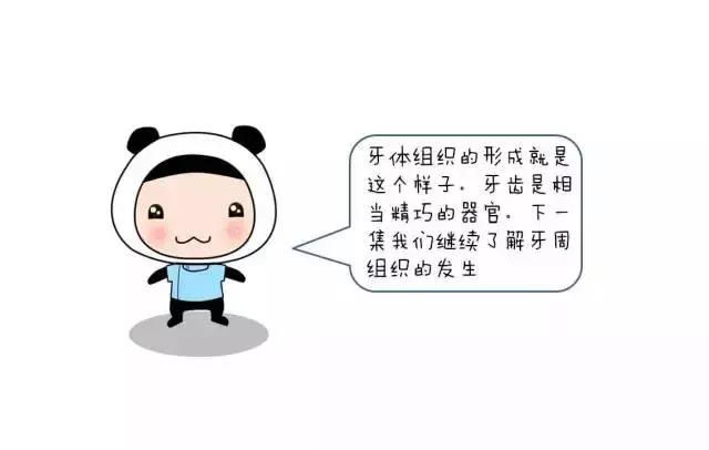 儿童治疗牙齿科普动画,孩子牙齿成长全过程