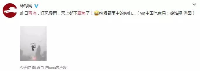 谁说伪球迷预测不了真胜利？是时候让你的宠物拉你一把了！