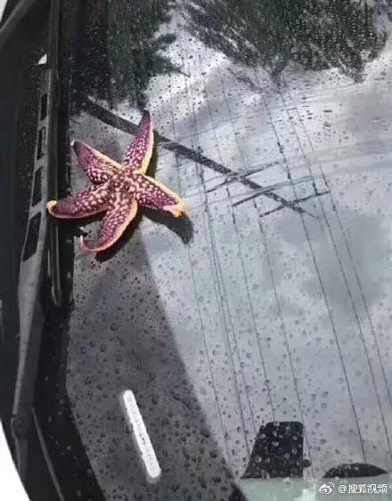 青岛能下海玩吗,青岛下海玩水哪里好