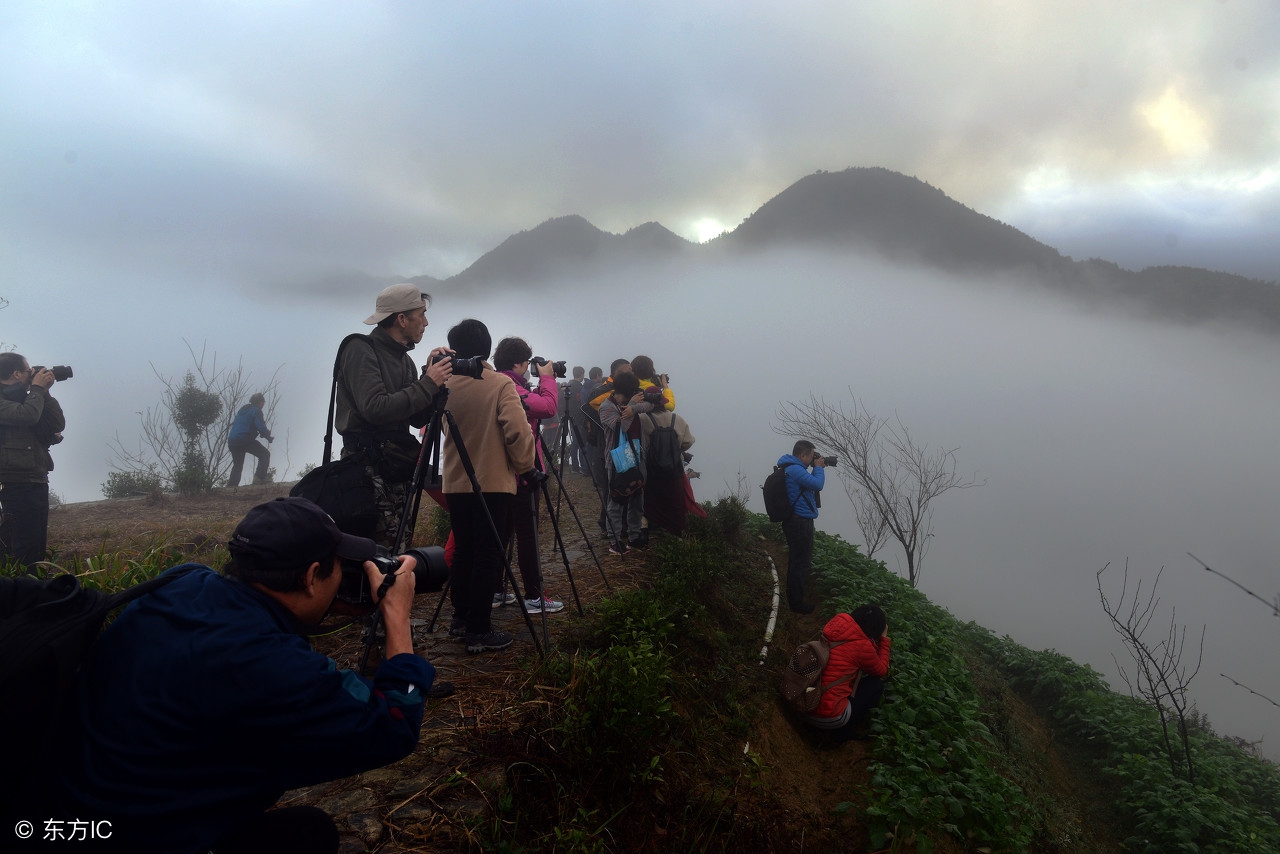 十神断命高级应用和地支深度解析,地支深度解析亥