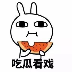 世界杯装蛋糕,世界杯装腔指南荷兰