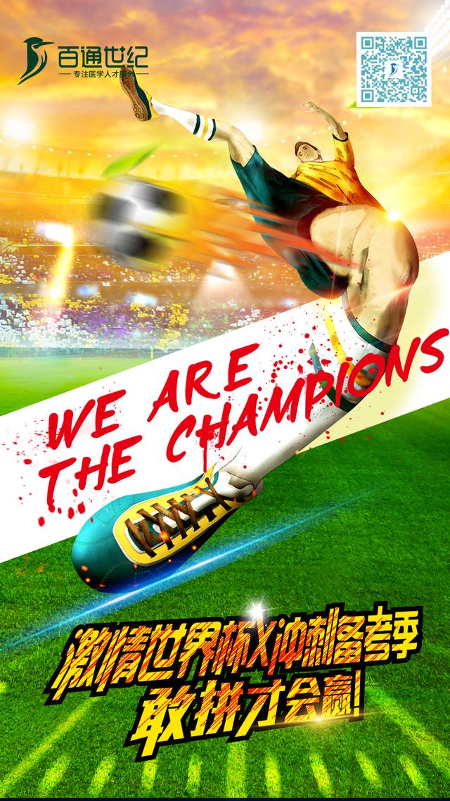 世界杯装啤酒容器,世界杯装腔指南荷兰