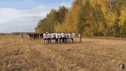 世界杯俄罗斯球迷打英国球迷,世界杯俄罗斯打英国球迷