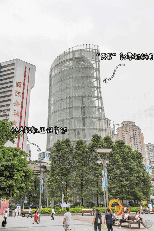 我要回杨家坪！因为这里的蒸汽石锅鲜椒鱼，让我……