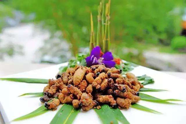 如果肇庆的美食及美景来一场足球赛，胜出的将会是……