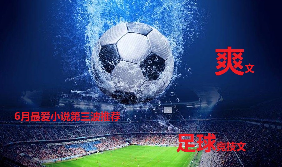 每日推文小说足球爽文,推书爽文推荐