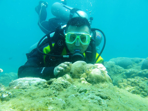 四天四夜三亚攻略,三亚民宿四天三晚民宿推荐