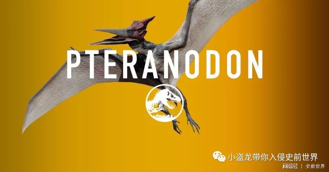 《侏罗纪世界2》所有恐龙的名字,侏罗纪世界2里面所有的恐龙名字