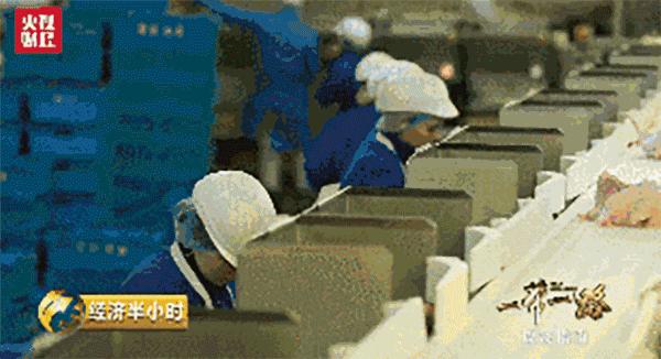 北京鸭流落百年终回家,中国公司15亿元购英国“樱桃谷鸭”