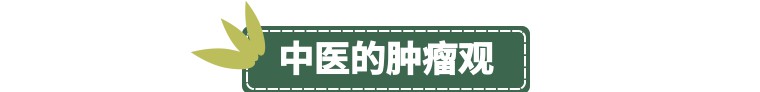 癌症最怕的种子,癌症与土壤的关系