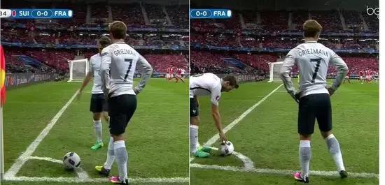 世界杯肉肉的仙人球,世界杯金肉肉