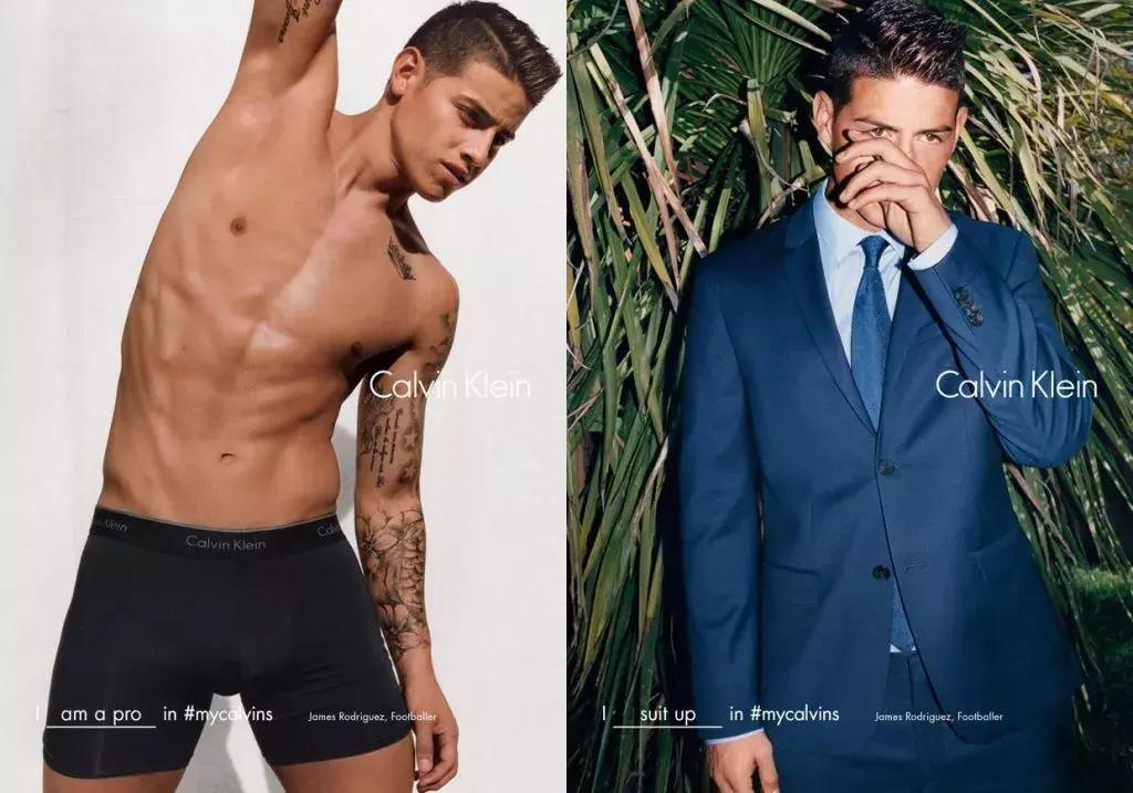 世界杯肉肉的仙人球,世界杯金肉肉